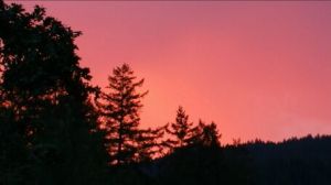 256x256_fit_one_bestfit (24)